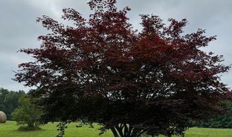 9891 Baskerville Rd, Baskerville, VA 23915