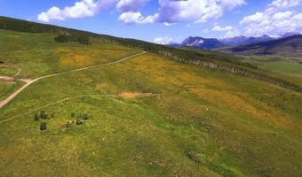 901 Red Mountain Rd, Almont, CO 81210