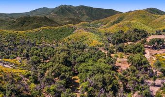 40 Tenaja Road Acres, Fallbrook, CA 92028