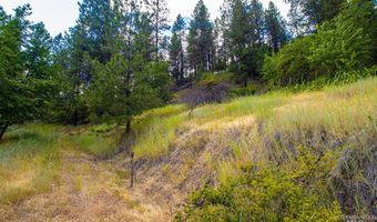 0 Whitetail Dr, Ahsahka, ID 83520