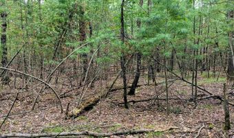 Buffalo Trail, Alger, MI 48610