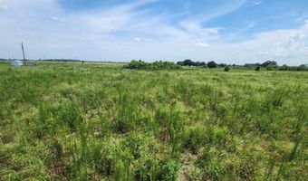 WEITA Road, Bartow, FL 33830