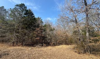 E 1931 RD, Antlers, OK 74523