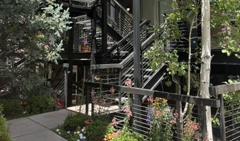 434 E Main St 102, Aspen, CO 81611