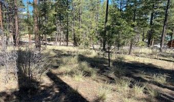 000 COUNTY ROAD 2191 LOT 46, Alpine, AZ 85920