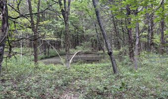 S HAGANS Road, Ashland, MO 65010