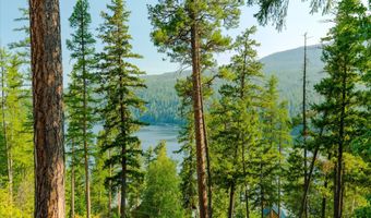 14259 Sunburst Dr, Bigfork, MT 59911