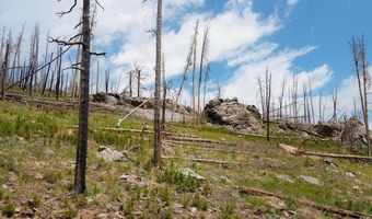 30 Sheep Horn Ct, Bellvue, CO 80512