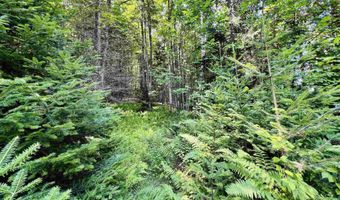 235 Moise Wood Rd, Brighton, VT 05846