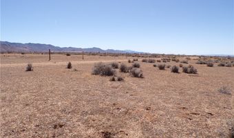 8933 Accra Dr, Chloride, AZ 86431