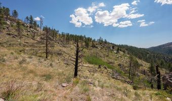 693 Cougar Dr, Bellvue, CO 80512