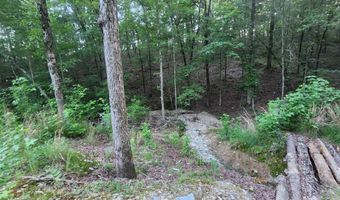 Lot 7 Oversprings Drive, Alexander, AR 72002