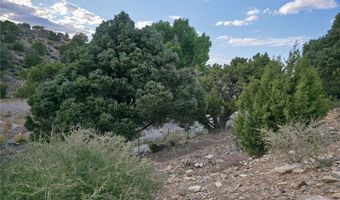 Bugling Bull Road, Cold Creek, NV 89124