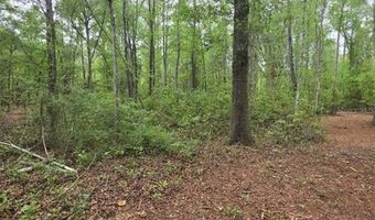 4814 NW 244 Ave, Alachua, FL 32615
