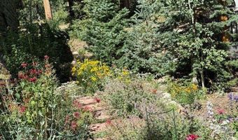 124 Ski Rd, Allenspark, CO 80510
