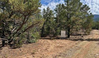 Tract B 266 Gallina Canyon Road, Valdez, NM 87580