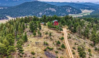 19 E Pine Dr, Bailey, CO 80421