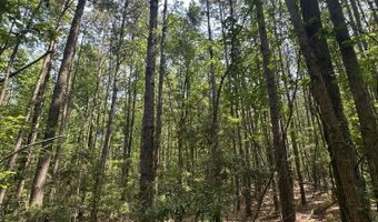 Ridge Road lot 1-E, Appling, GA 30802
