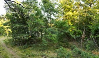 Michael Drive, Alger, MI 48610