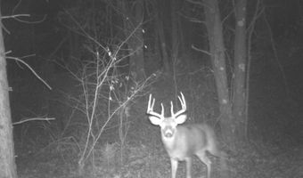 8752 HWY A, Almond, WI 54909