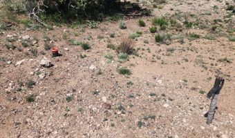 N xxxxx Road 249A, Ash Fork, AZ 86320