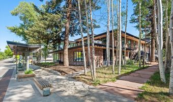 100 E Main St 1, Aspen, CO 81611