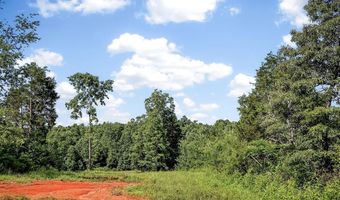 193 Ac Massa Rd, Baxter, TN 38544