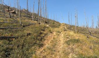 Pine Acres Rd, Bellvue, CO 80512