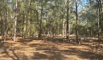 1320 NW 22nd Ct, Bell, FL 32619
