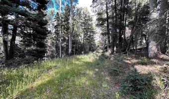 2 Back Basin Rd, Angel Fire, NM 87710