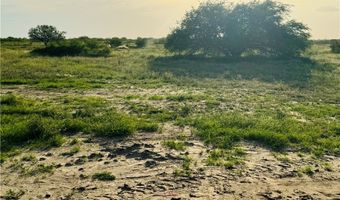 145 County Road 150, Alice, TX 78332