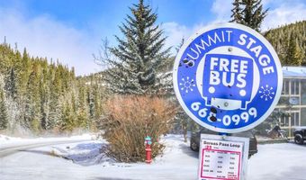 306 ILLINOIS GULCH Rd 113, Breckenridge, CO 80424