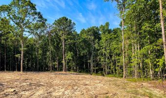 0 Backway Rd, Lincolnton, GA 30817