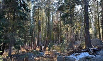 550 Cabbage Patch Log Rd, South Lake Tahoe, CA 95223