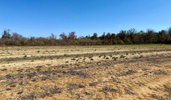 2 5 Acres GarrettRoad, Ashford, AL 36312