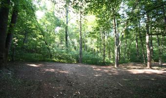 TBA BETTYS BRANCH RD X, Arvonia, VA 23004