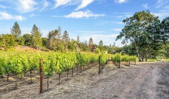 875 White Cottage Rd N, Angwin, CA 94508