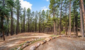 272 Timber Dr, Bayfield, CO 81122