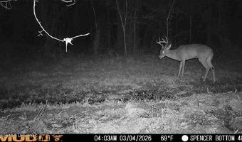 Bogue Chitto Road, Bogue Chitto, MS 39629
