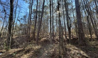N Forty lot 3, Alexander City, AL 35010