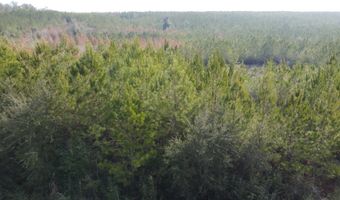 NW Church Road, Altha, FL 32421