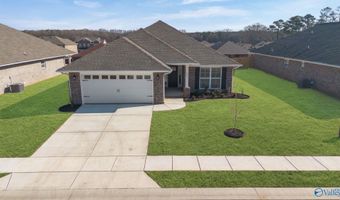 19849 Redhawk Dr, Athens, AL 35611