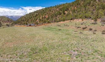 Tbd County Road 117, Glenwood Springs, CO 81601