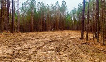 1919 Arthur Dr NW, Brookhaven, MS 39601