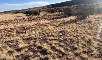 24 N8448, Concho, AZ 85924
