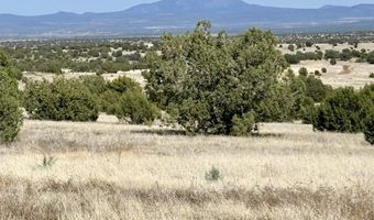 W Rawhide Ranch Road lot 46, Ash Fork, AZ 86320