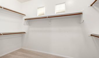 3922 E VIRGO Pl, Chandler, AZ 85249