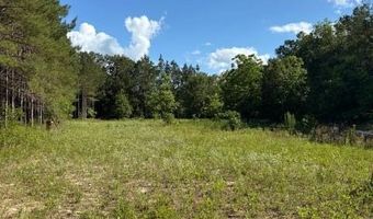 570 Bethany Church Rd, Bainbridge, GA 39817