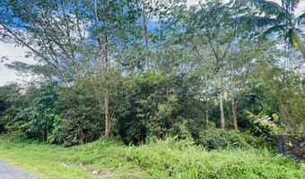 16 TH Ave, Keaau, HI 96749