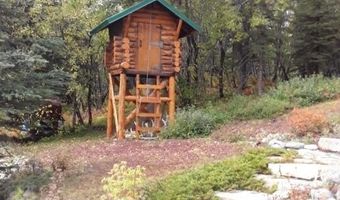 19948 W Glenn Hwy, Chickaloon, AK 99674